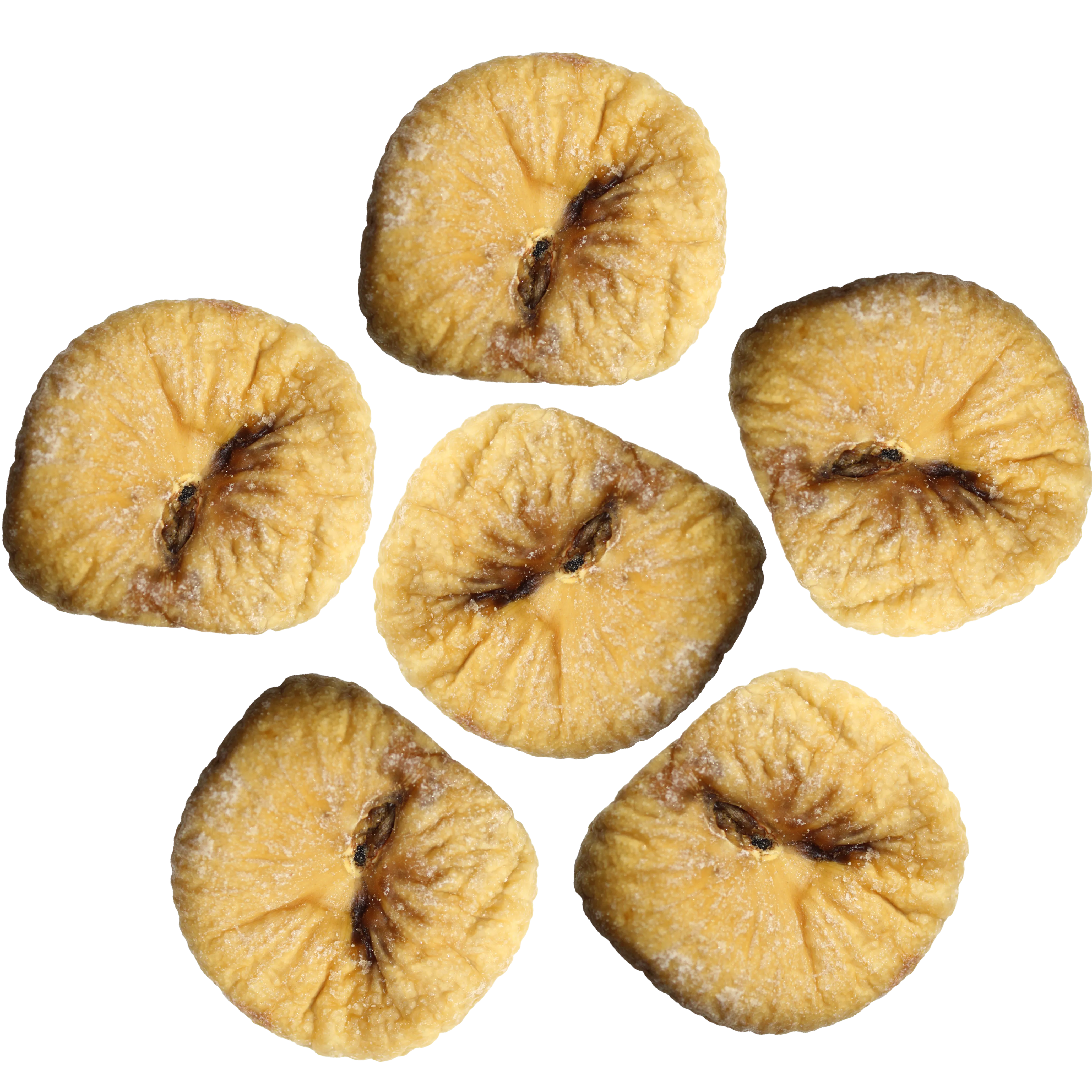 Turkish Fig